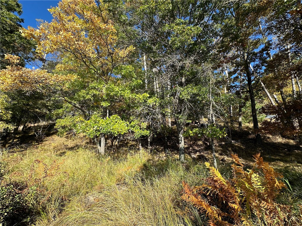 3983 E Robinson Lake Road Barnes WI 54873 - Robinson 1590771 image23