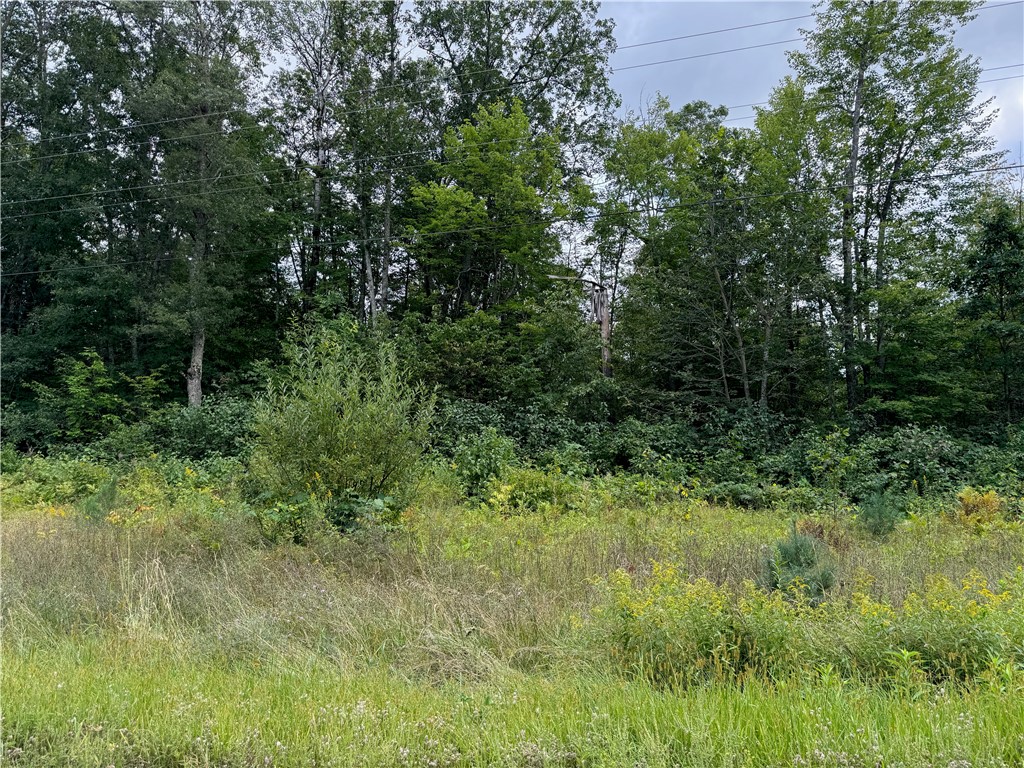 4.7 acres on Gurno Lake Road Hayward WI 54843 1585358 image10