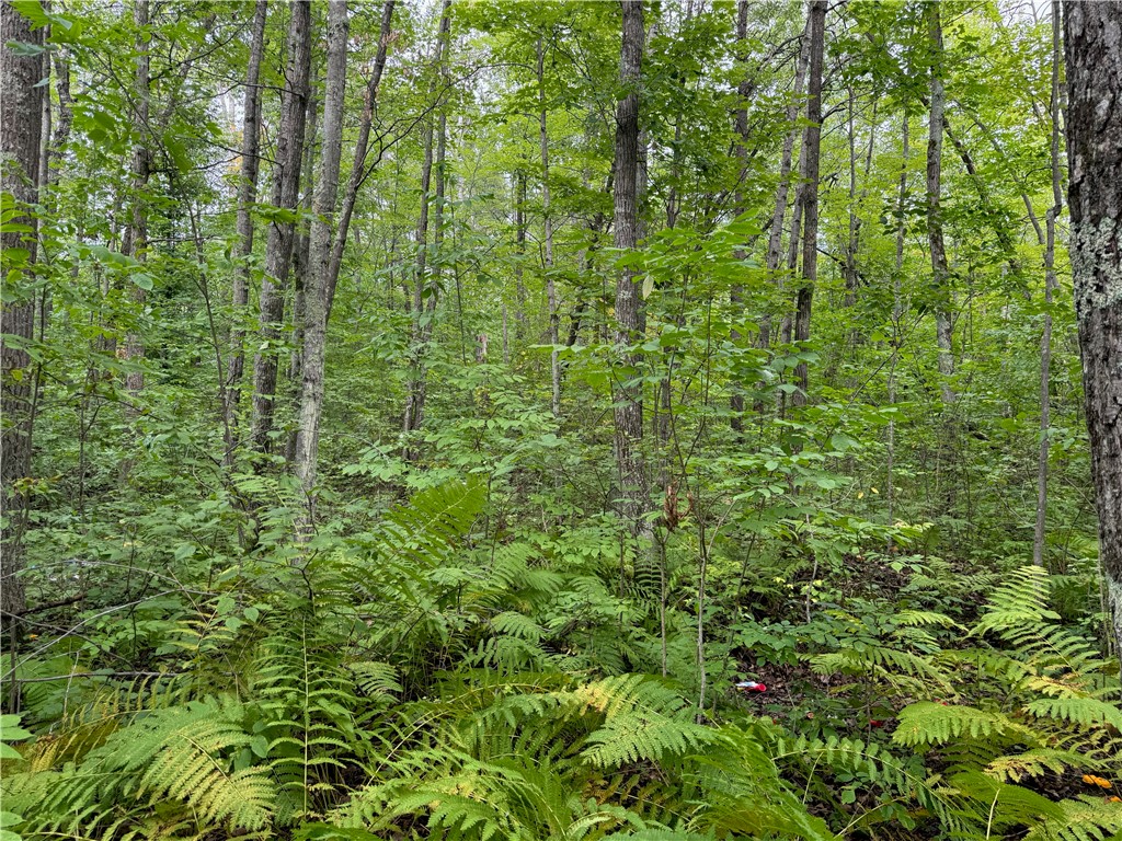 4.7 acres on Gurno Lake Road Hayward WI 54843 1585358 image11