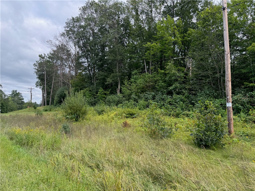4.7 acres on Gurno Lake Road Hayward WI 54843 1585358 image12
