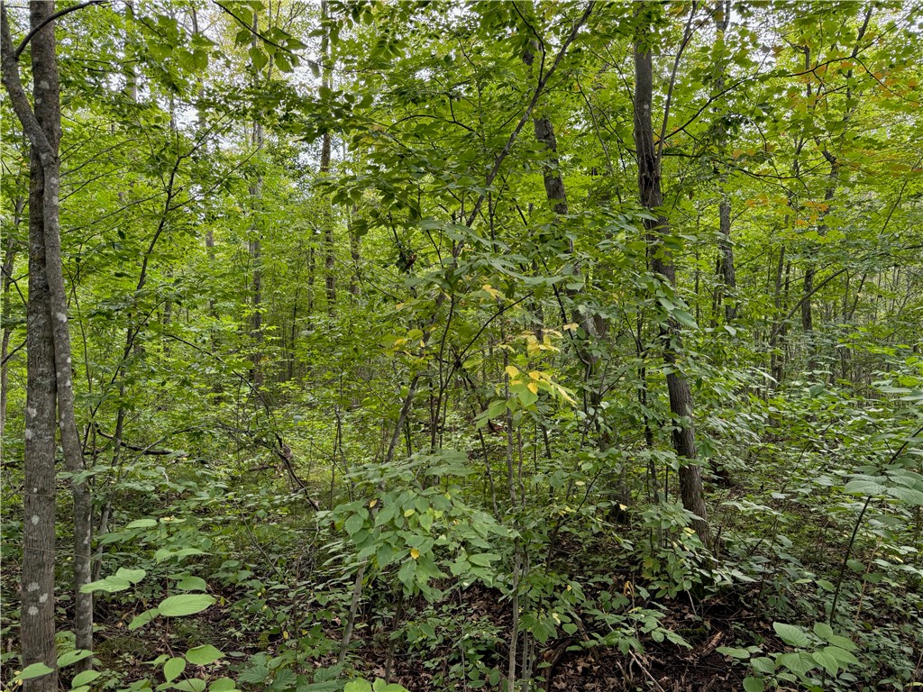 4.7 acres on Gurno Lake Road Hayward WI 54843 1585358 image16