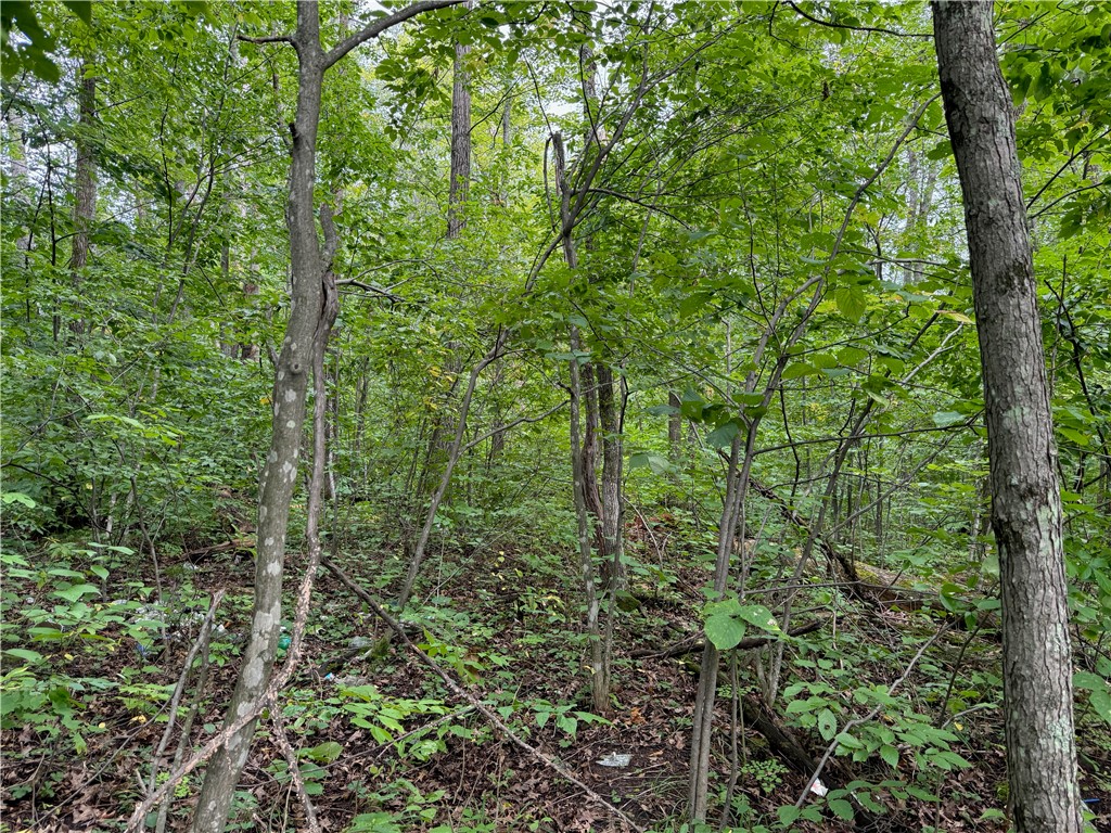 4.7 acres on Gurno Lake Road Hayward WI 54843 1585358 image20