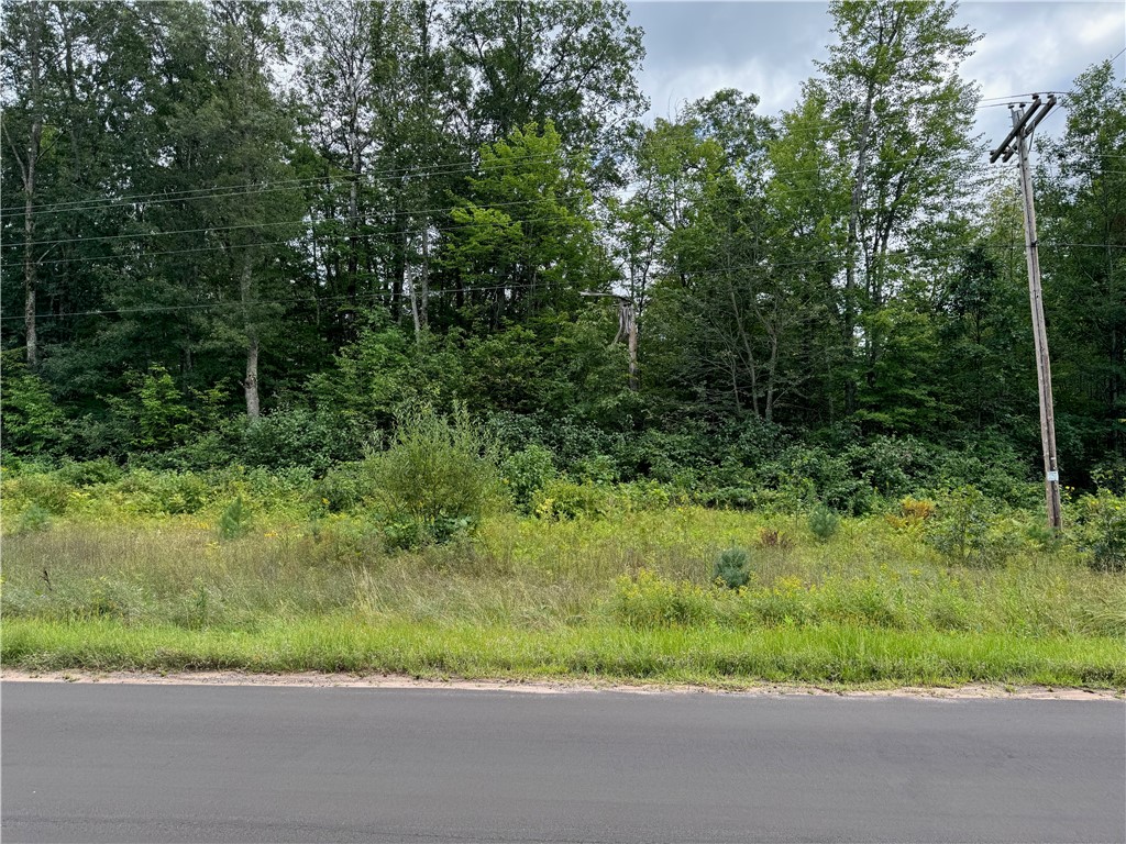 4.7 acres on Gurno Lake Road Hayward WI 54843 1585358 image9