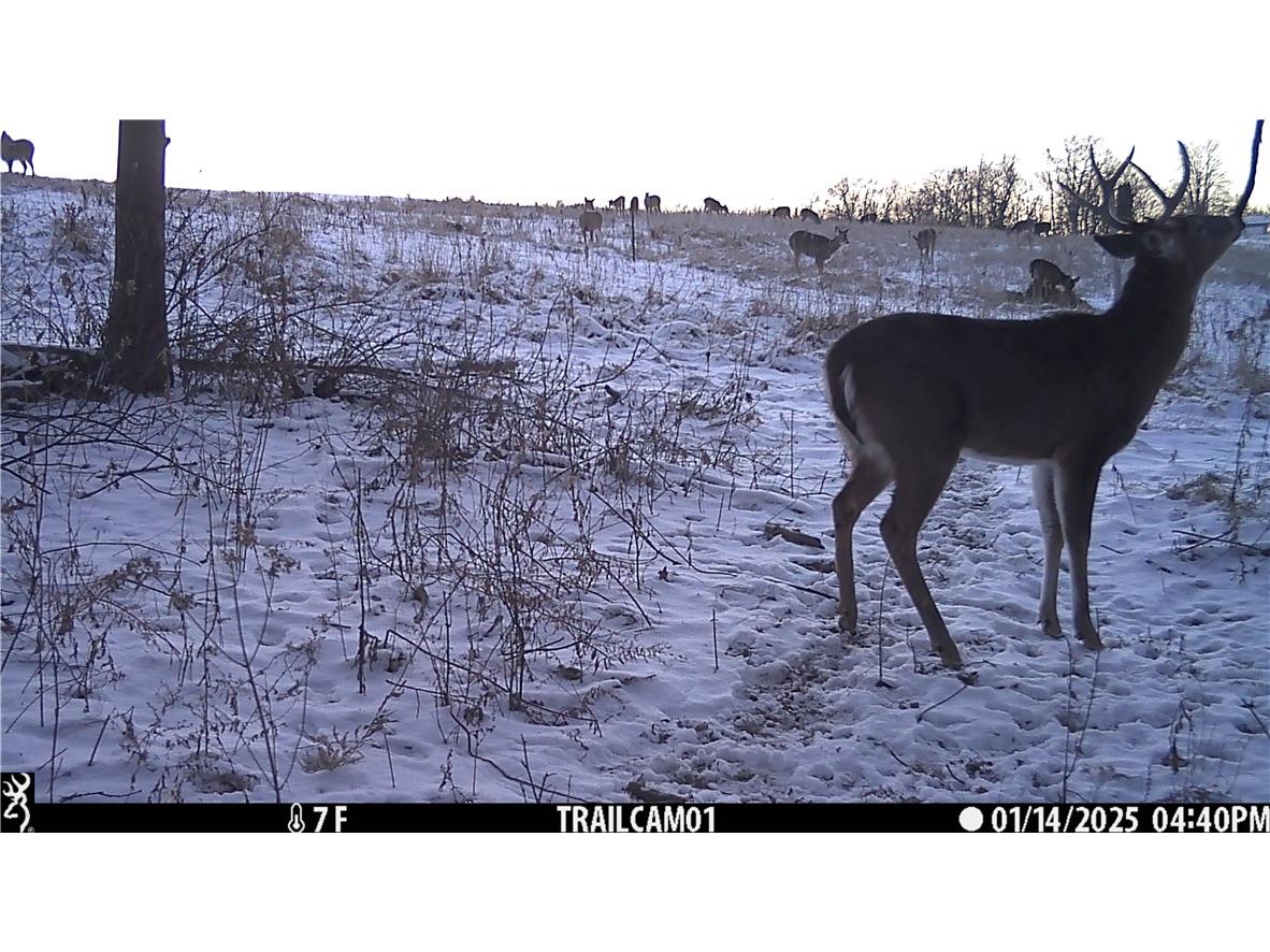 4.72 +- Acres 50th Avenue Plum City WI 54761 1590036 image10