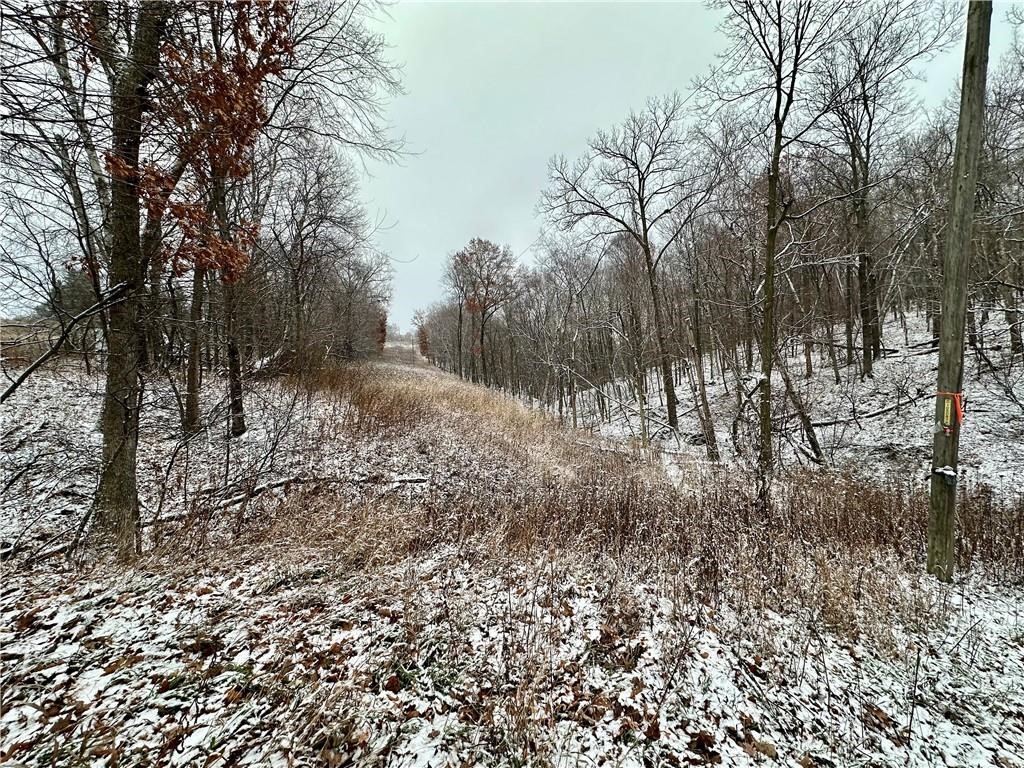 4.72 +- Acres 50th Avenue Plum City WI 54761 1590036 image11