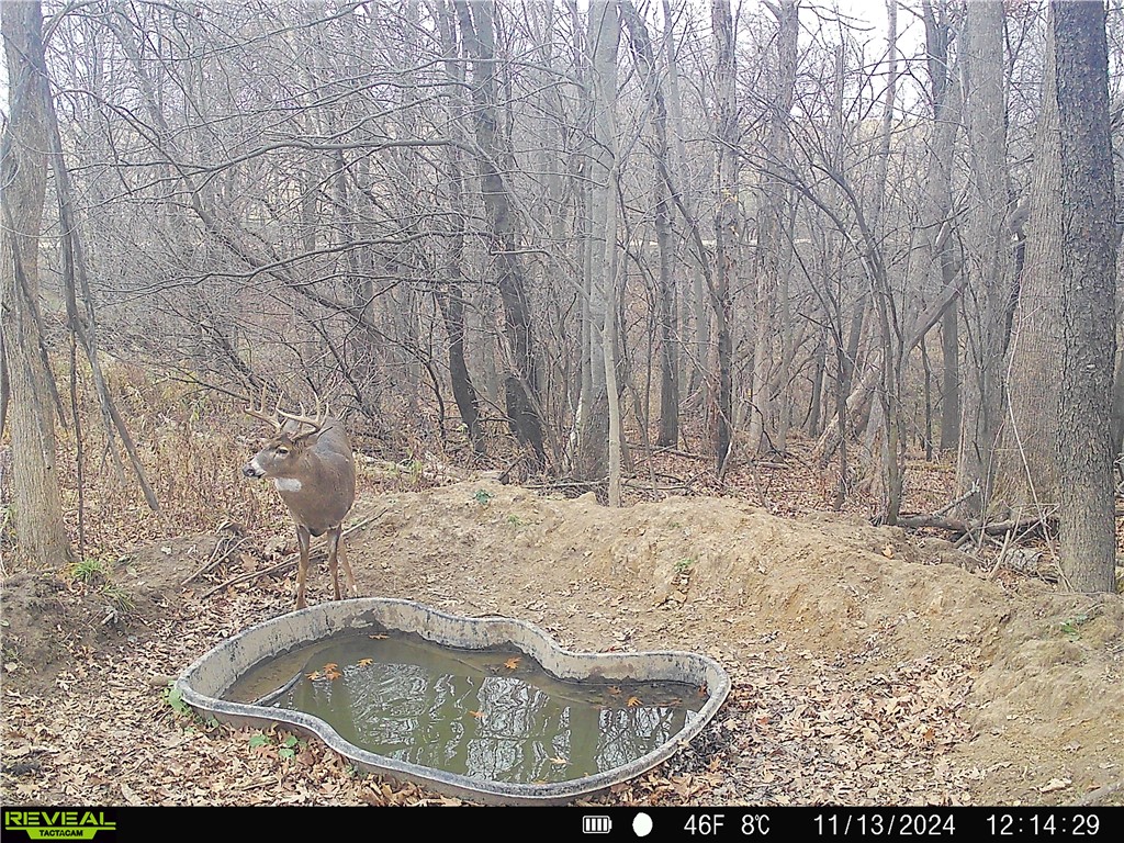 4.72 +- Acres 50th Avenue Plum City WI 54761 1590036 image12