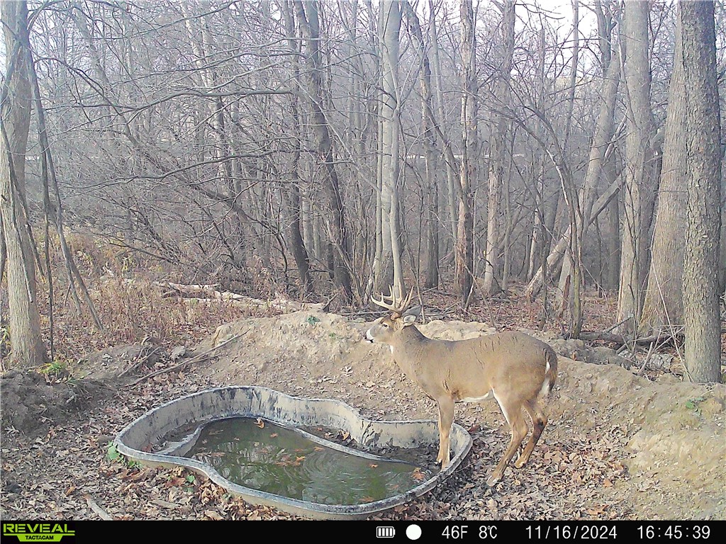 4.72 +- Acres 50th Avenue Plum City WI 54761 1590036 image13