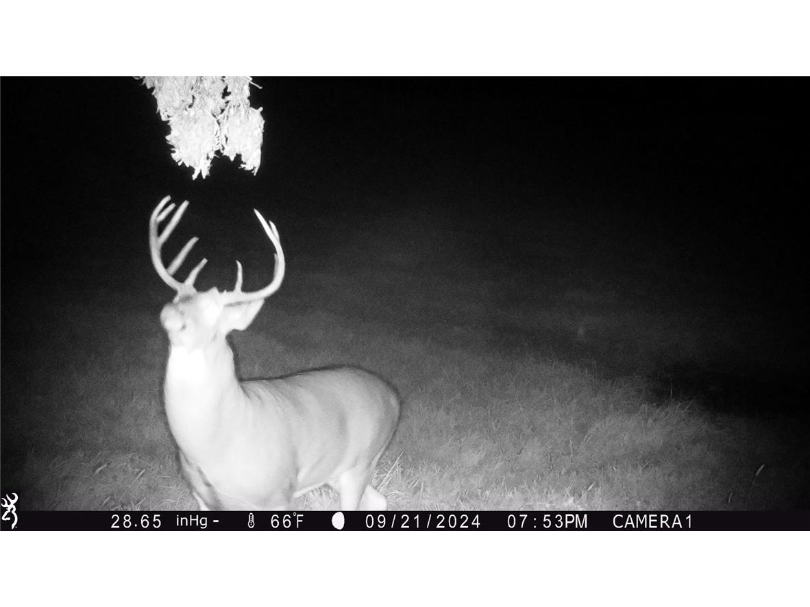 4.72 +- Acres 50th Avenue Plum City WI 54761 1590036 image16