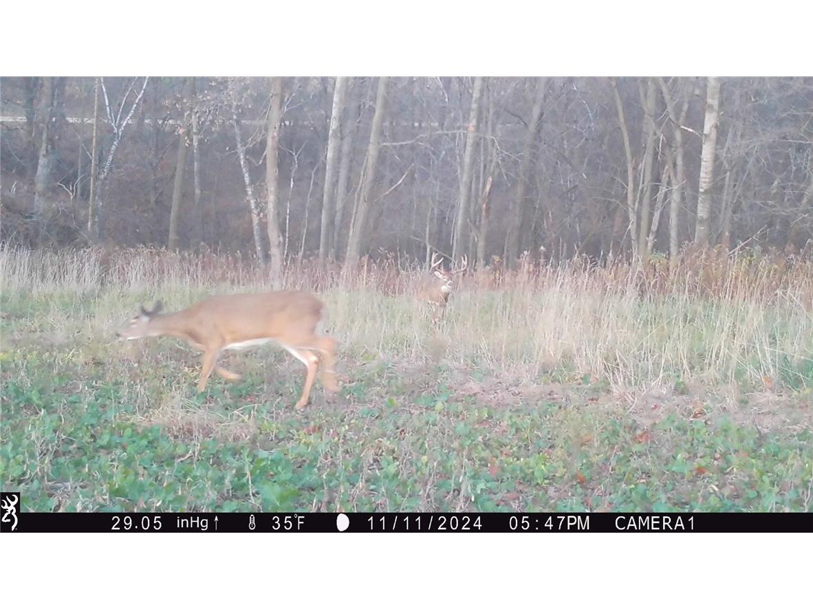 4.72 +- Acres 50th Avenue Plum City WI 54761 1590036 image17