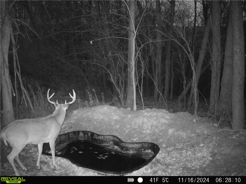 4.72 +- Acres 50th Avenue Plum City WI 54761 1590036 image18