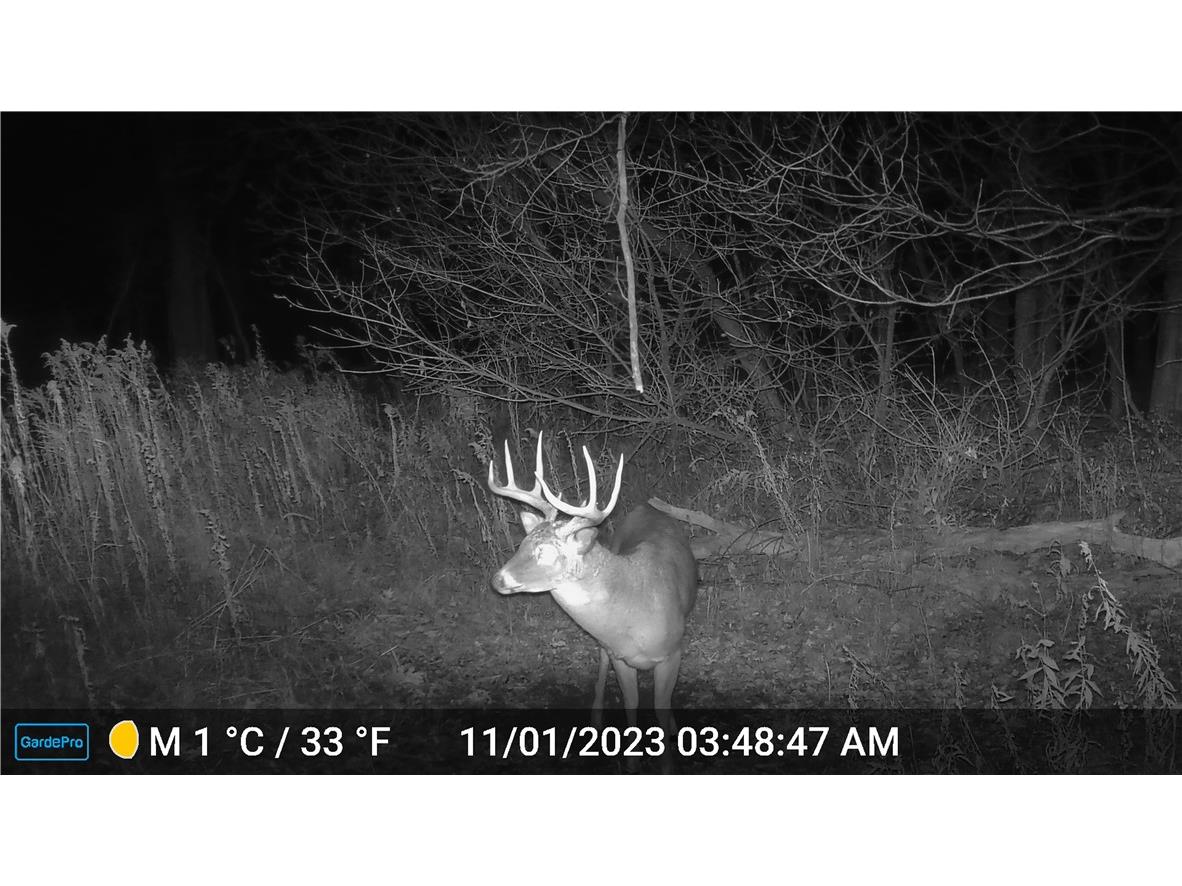 4.72 +- Acres 50th Avenue Plum City WI 54761 1590036 image19