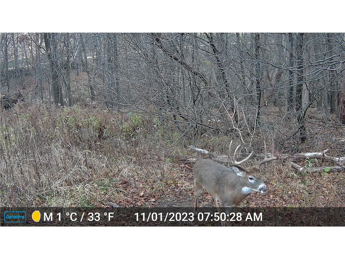 4.72 +- Acres 50th Avenue Plum City WI 54761 1590036 image20