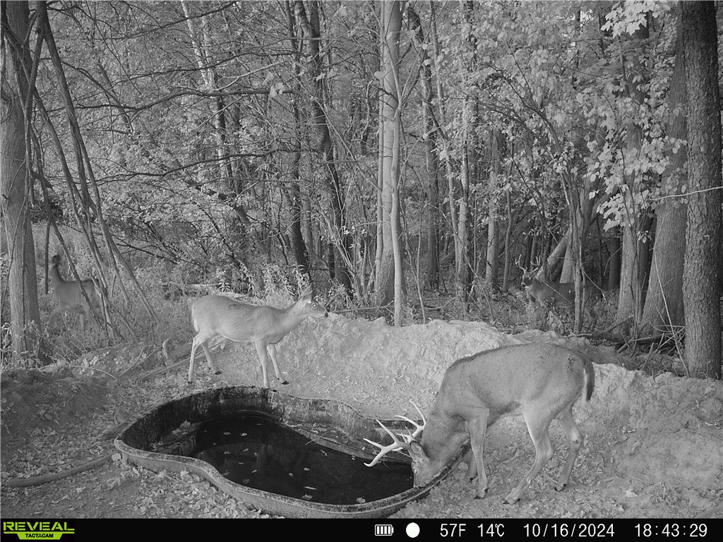 4.72 +- Acres 50th Avenue Plum City WI 54761 1590036 image21