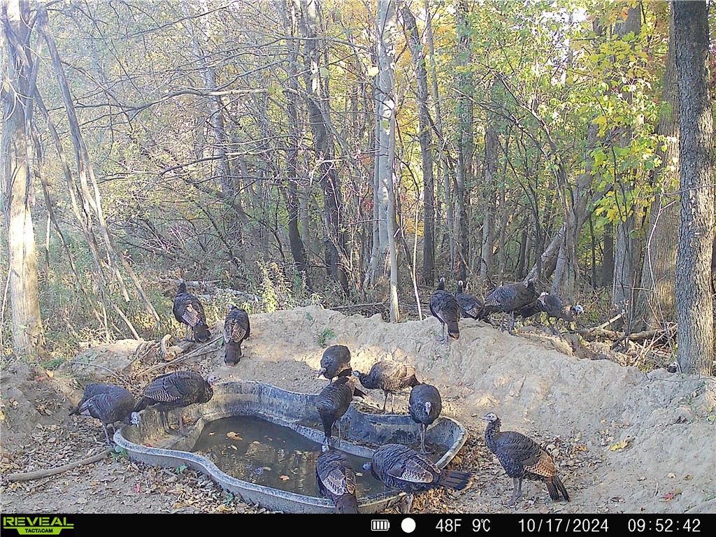 4.72 +- Acres 50th Avenue Plum City WI 54761 1590036 image22