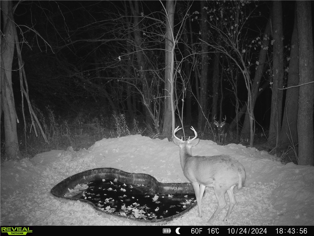 4.72 +- Acres 50th Avenue Plum City WI 54761 1590036 image23