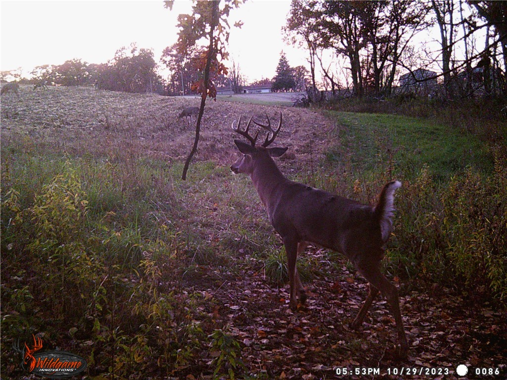 4.72 +- Acres 50th Avenue Plum City WI 54761 1590036 image24