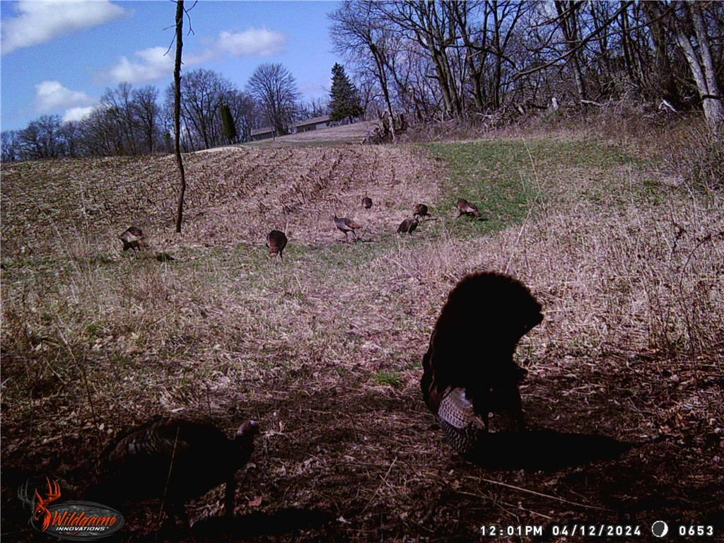 4.72 +- Acres 50th Avenue Plum City WI 54761 1590036 image25