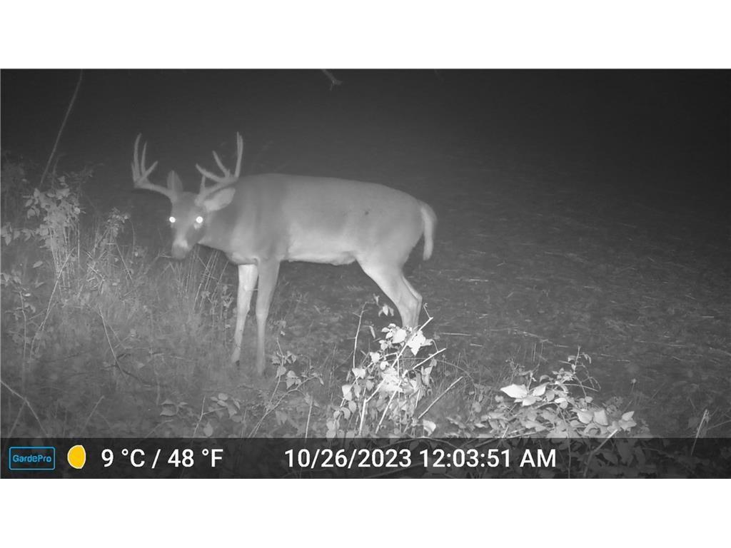 4.72 +- Acres 50th Avenue Plum City WI 54761 1590036 image26