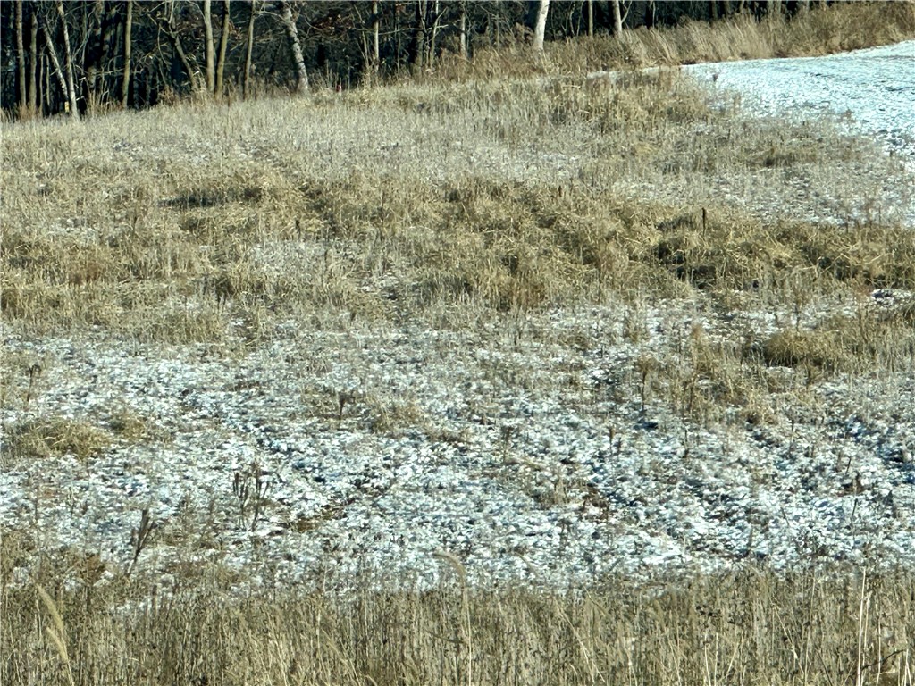 4.72 +- Acres 50th Avenue Plum City WI 54761 1590036 image28