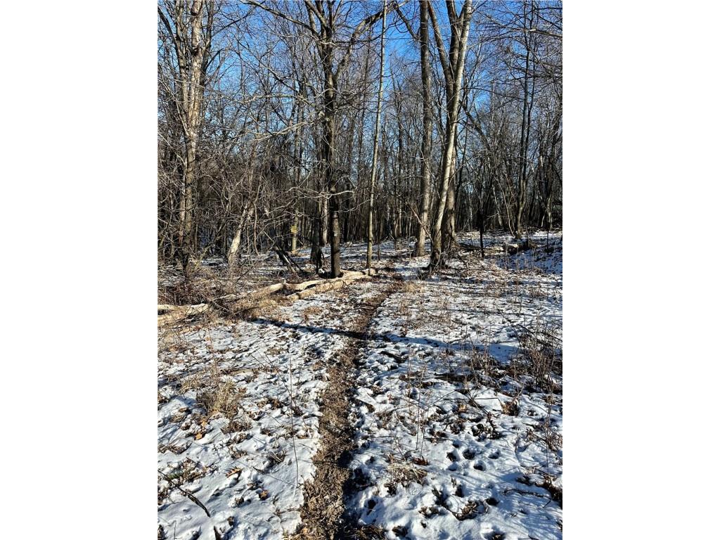 4.72 +- Acres 50th Avenue Plum City WI 54761 1590036 image35