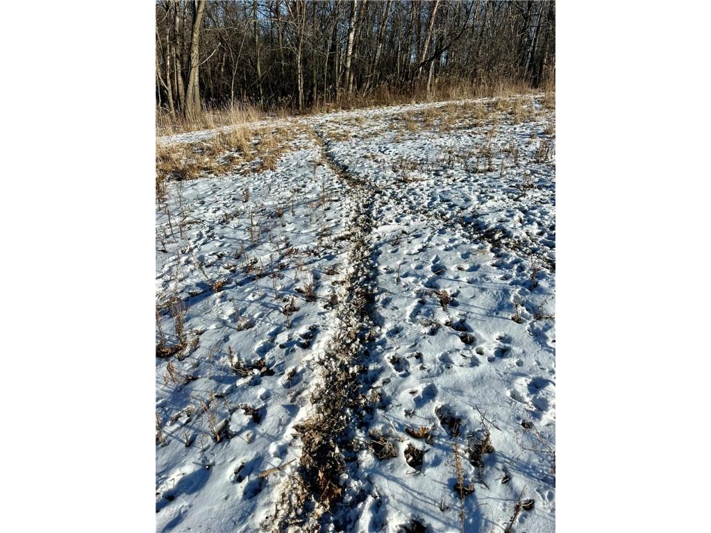 4.72 +- Acres 50th Avenue Plum City WI 54761 1590036 image37