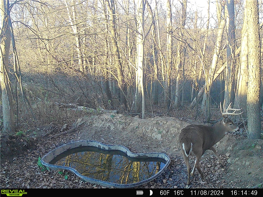 4.72 +- Acres 50th Avenue Plum City WI 54761 1590036 image4