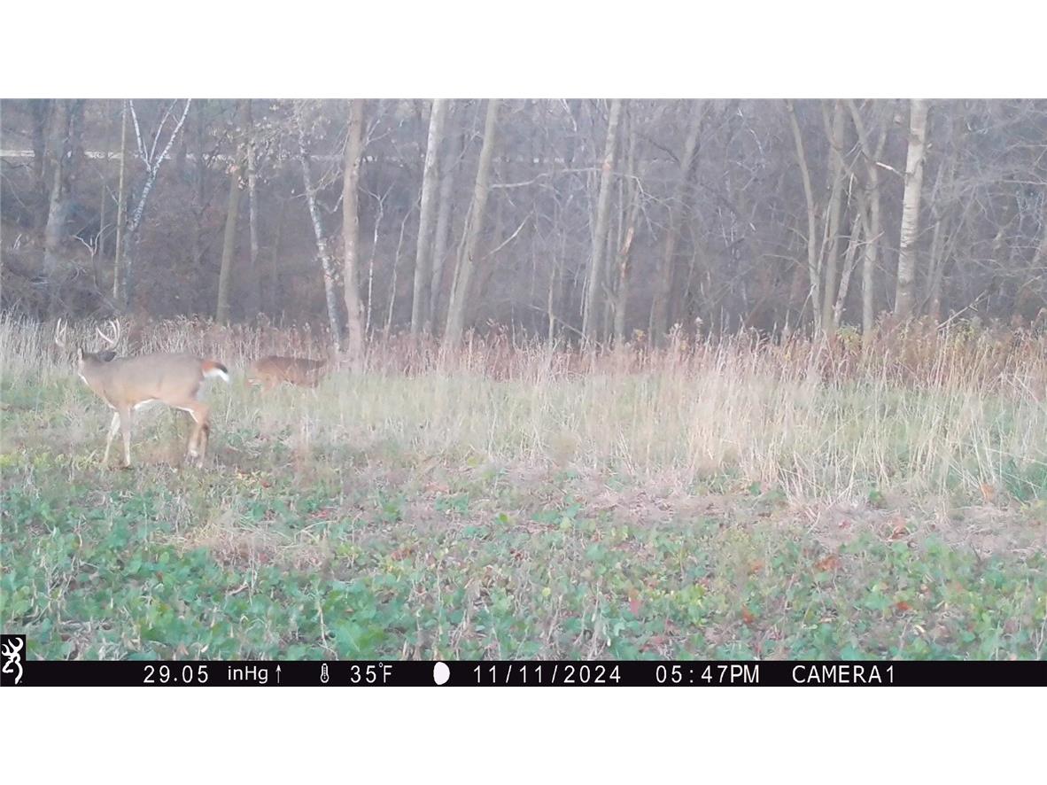 4.72 +- Acres 50th Avenue Plum City WI 54761 1590036 image5