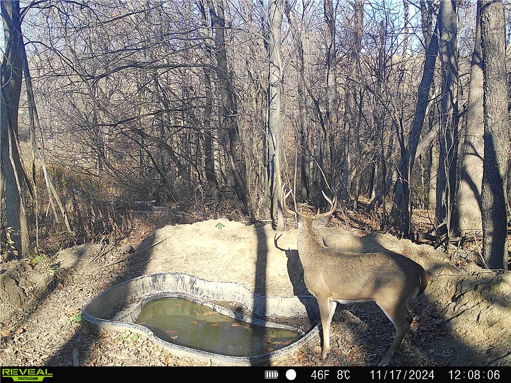 4.72 +- Acres 50th Avenue Plum City WI 54761 1590036 image6