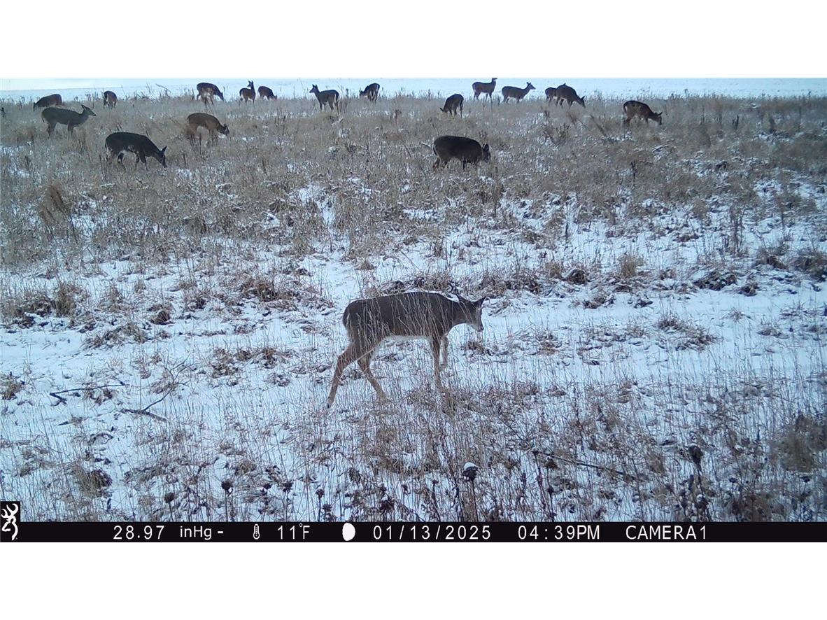 4.72 +- Acres 50th Avenue Plum City WI 54761 1590036 image8