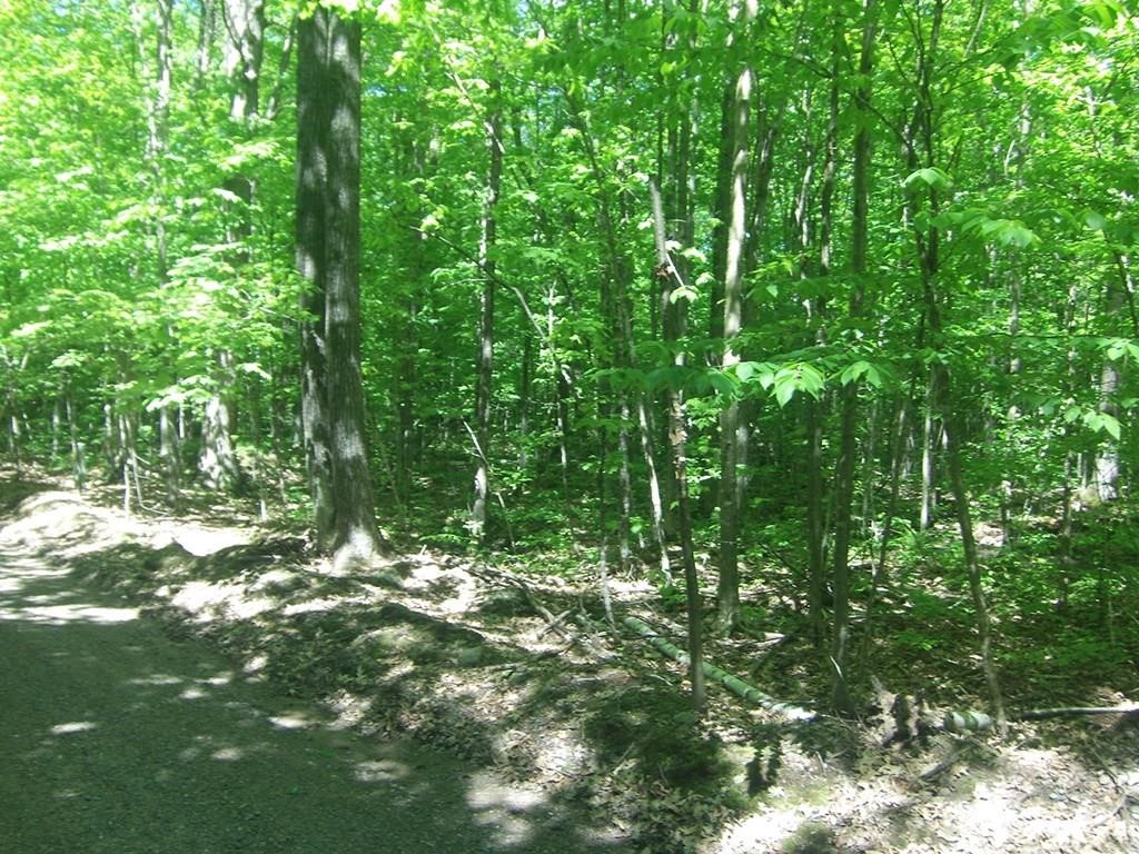 4.85 Acres Joes Road Conrath WI 54731 1600534 image1