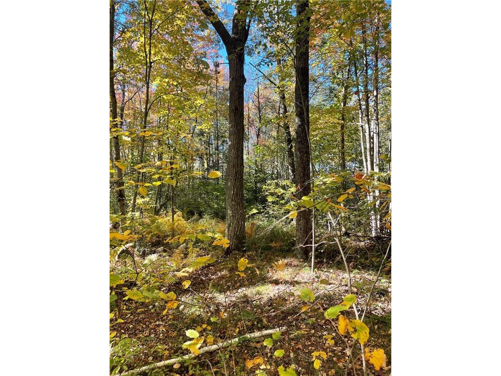 40 Acres 136th Street New Auburn WI 54757 1586496 image1