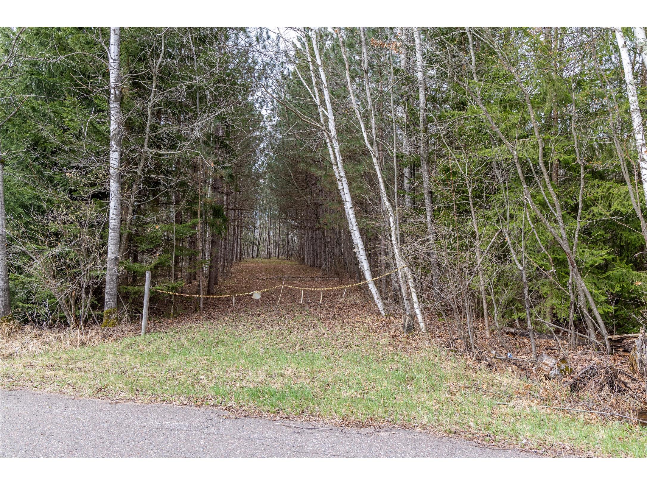 40 Acres Adams & Jones Road Bruce WI 54819 1600432 image10