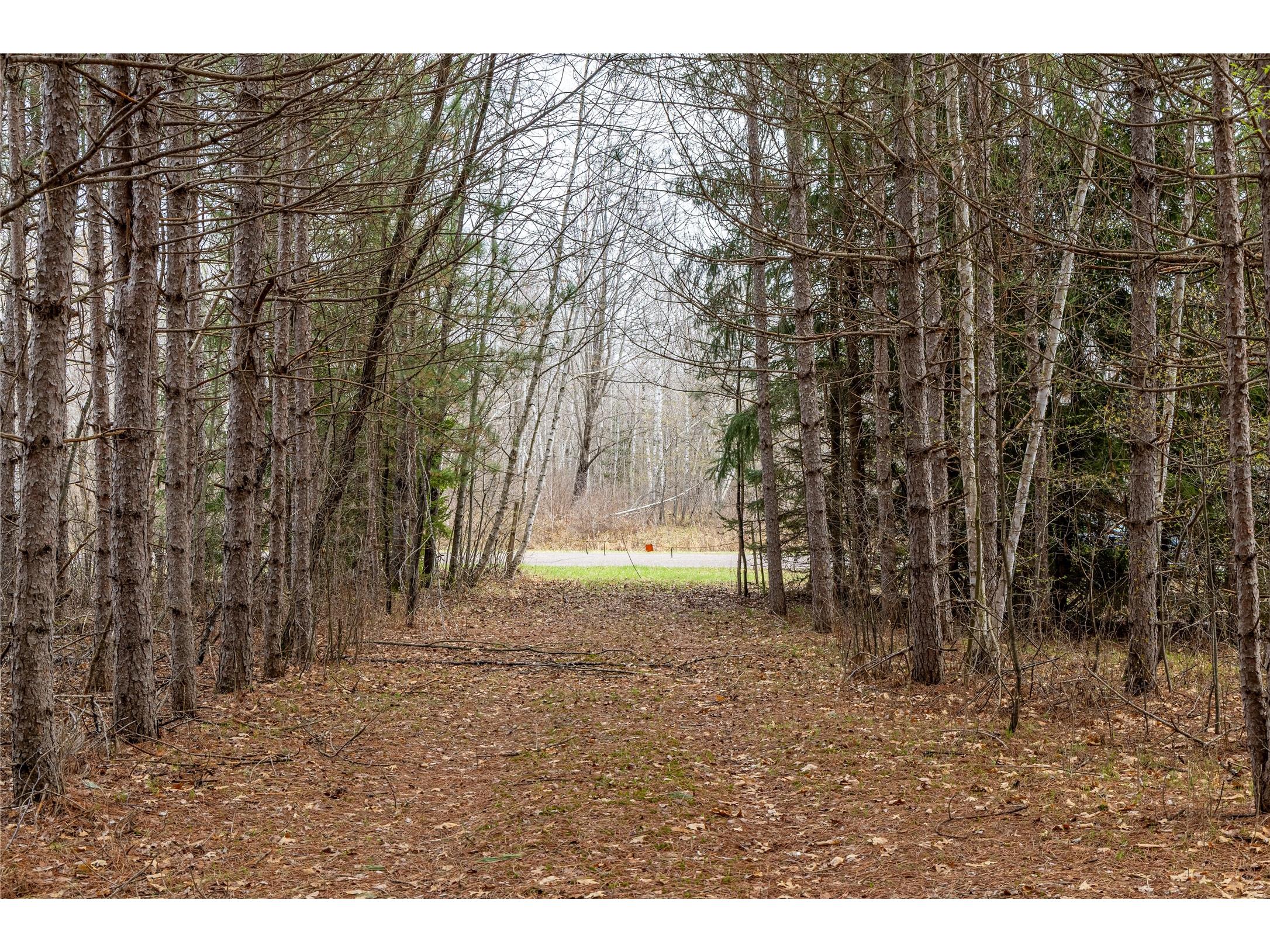 40 Acres Adams & Jones Road Bruce WI 54819 1600432 image19
