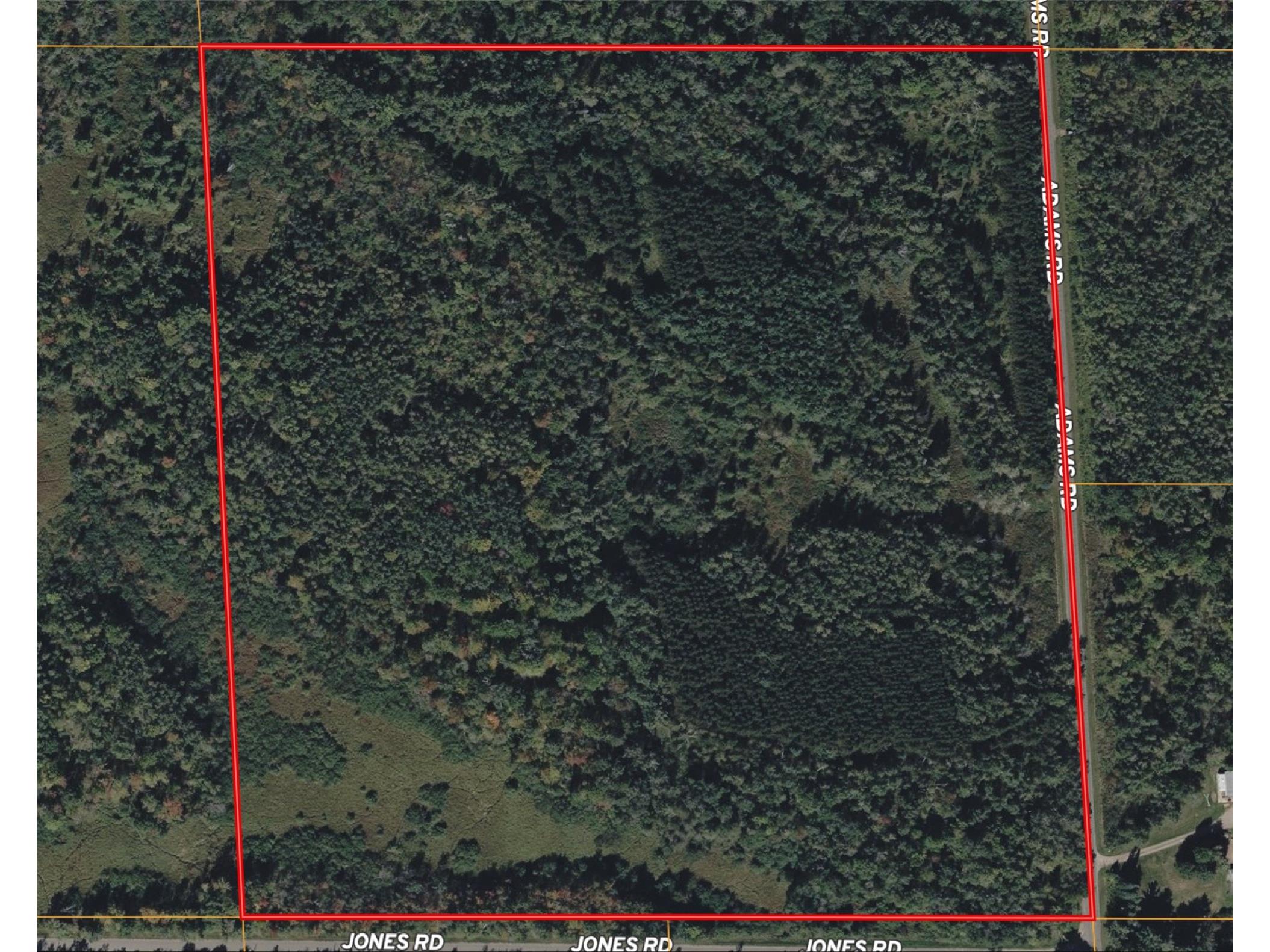 40 Acres Adams & Jones Road Bruce WI 54819 1600432 image21
