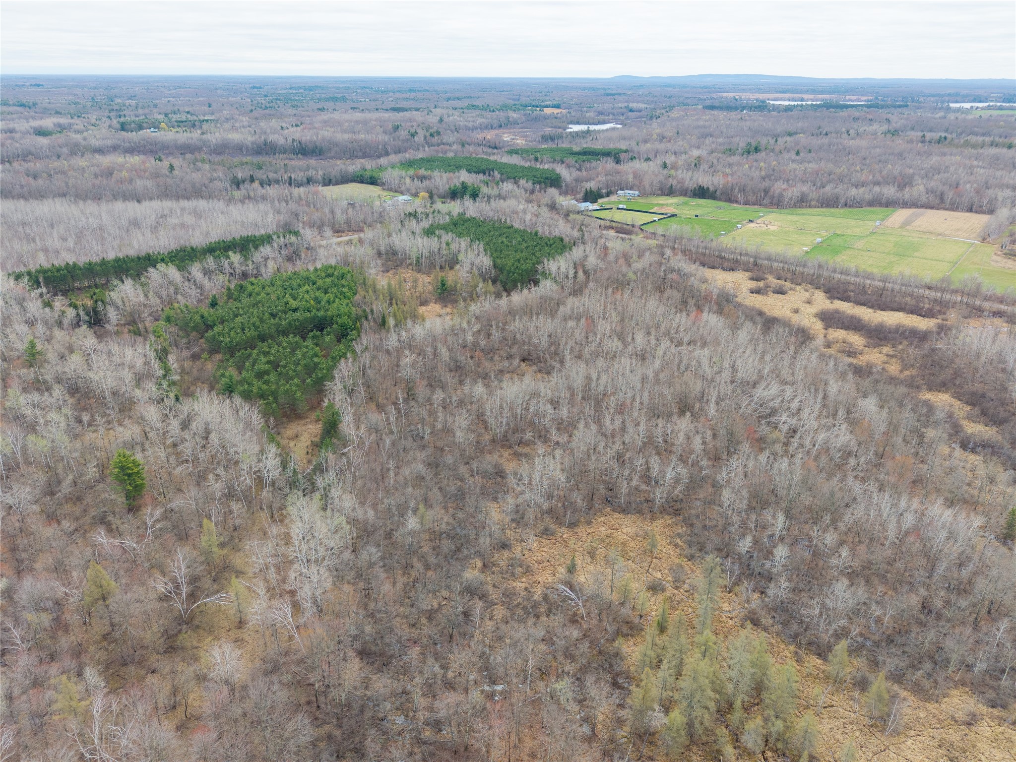40 Acres Adams & Jones Road Bruce WI 54819 1600432 image3