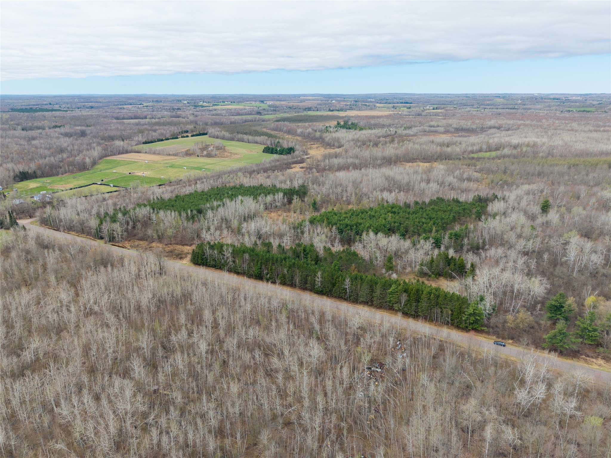 40 Acres Adams & Jones Road Bruce WI 54819 1600432 image4