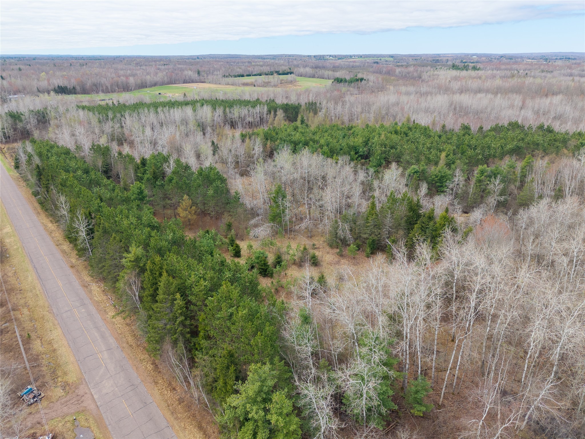 40 Acres Adams & Jones Road Bruce WI 54819 1600432 image5