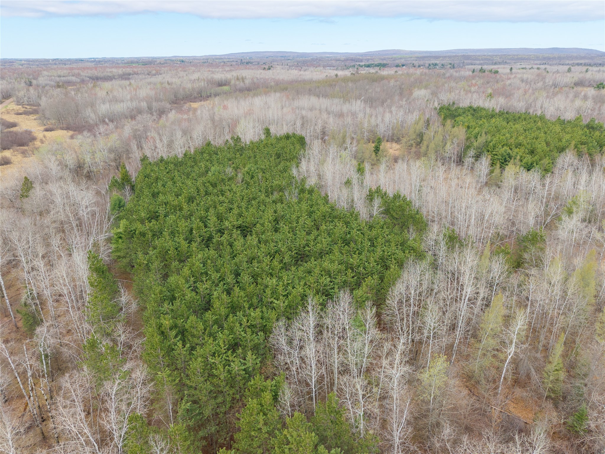 40 Acres Adams & Jones Road Bruce WI 54819 1600432 image6
