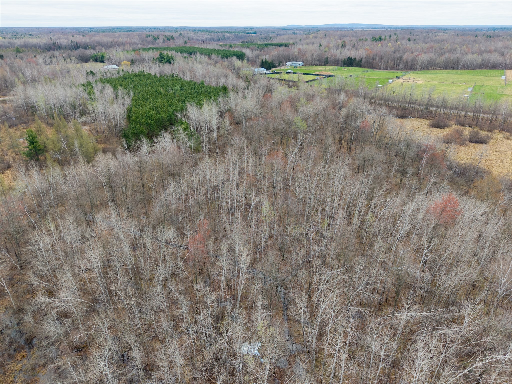 40 Acres Adams & Jones Road Bruce WI 54819 1600432 image7