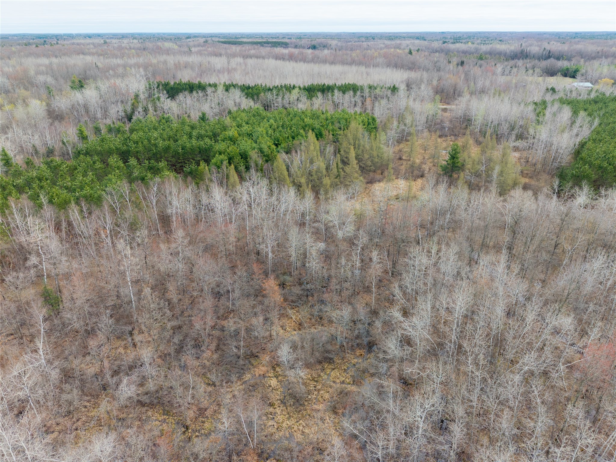 40 Acres Adams & Jones Road Bruce WI 54819 1600432 image8