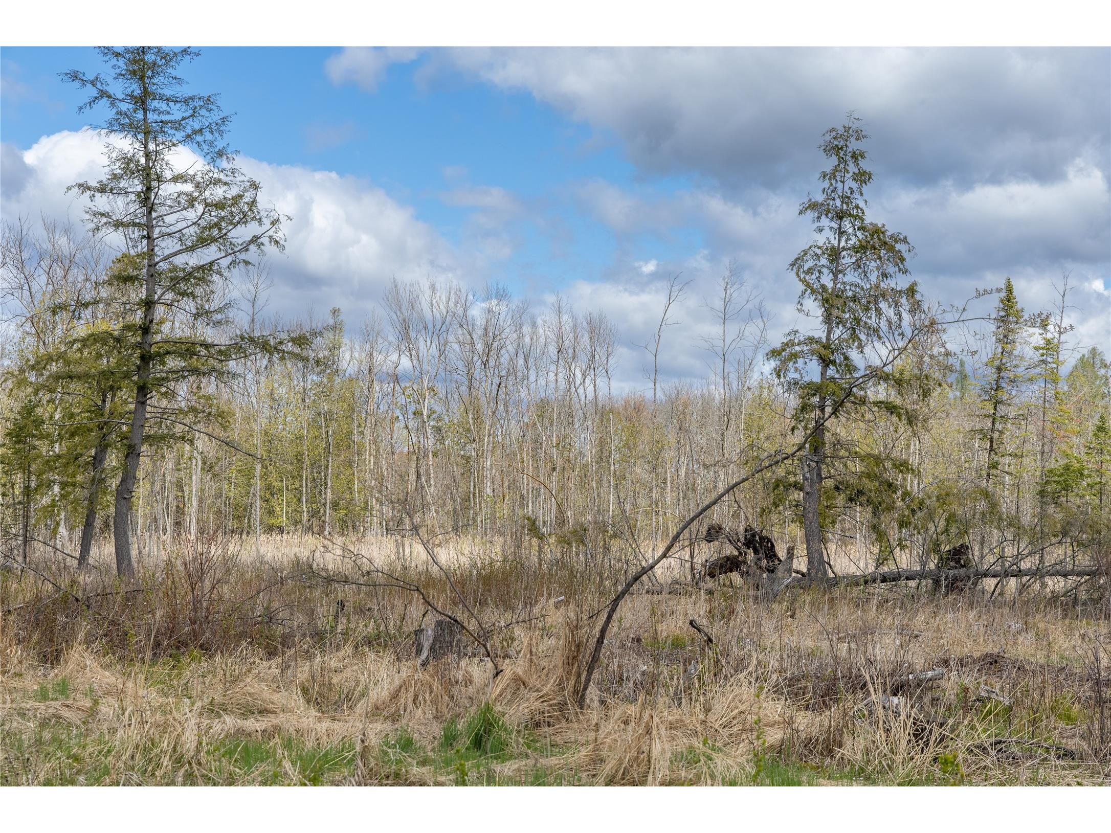 40 Acres Anderson & School Road Glen Flora WI 54526 1601150 image1