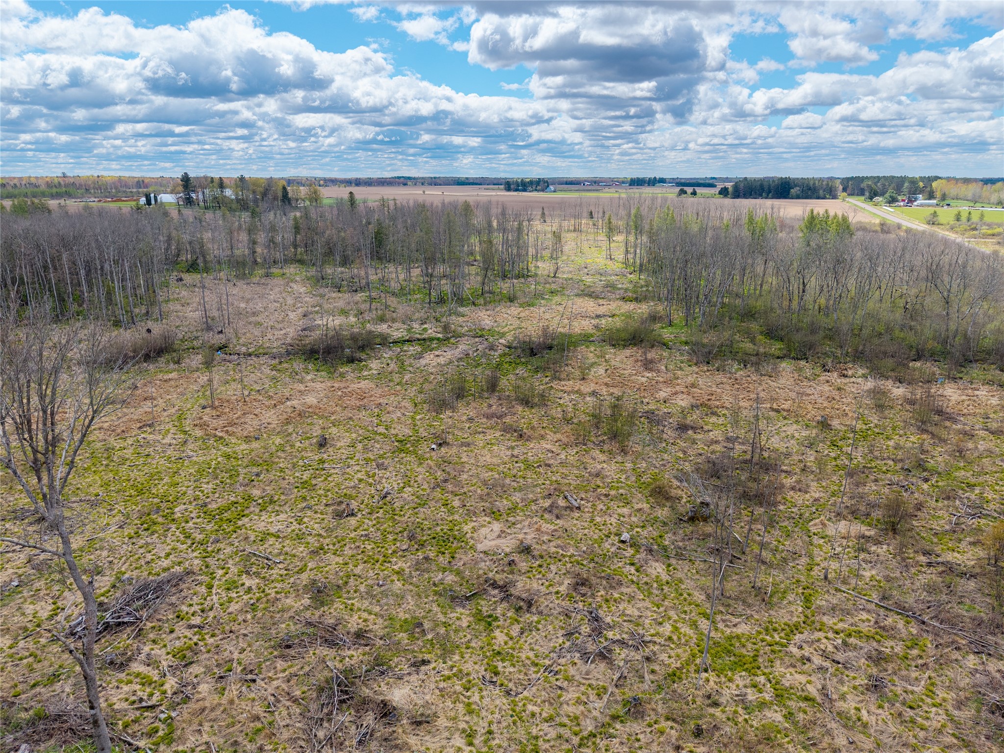 40 Acres Anderson & School Road Glen Flora WI 54526 1601150 image10
