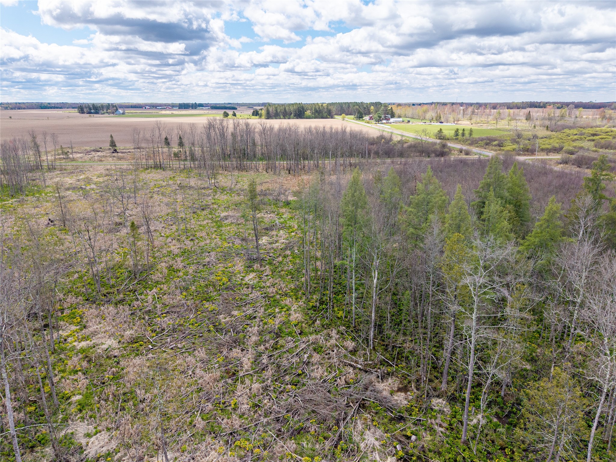40 Acres Anderson & School Road Glen Flora WI 54526 1601150 image11
