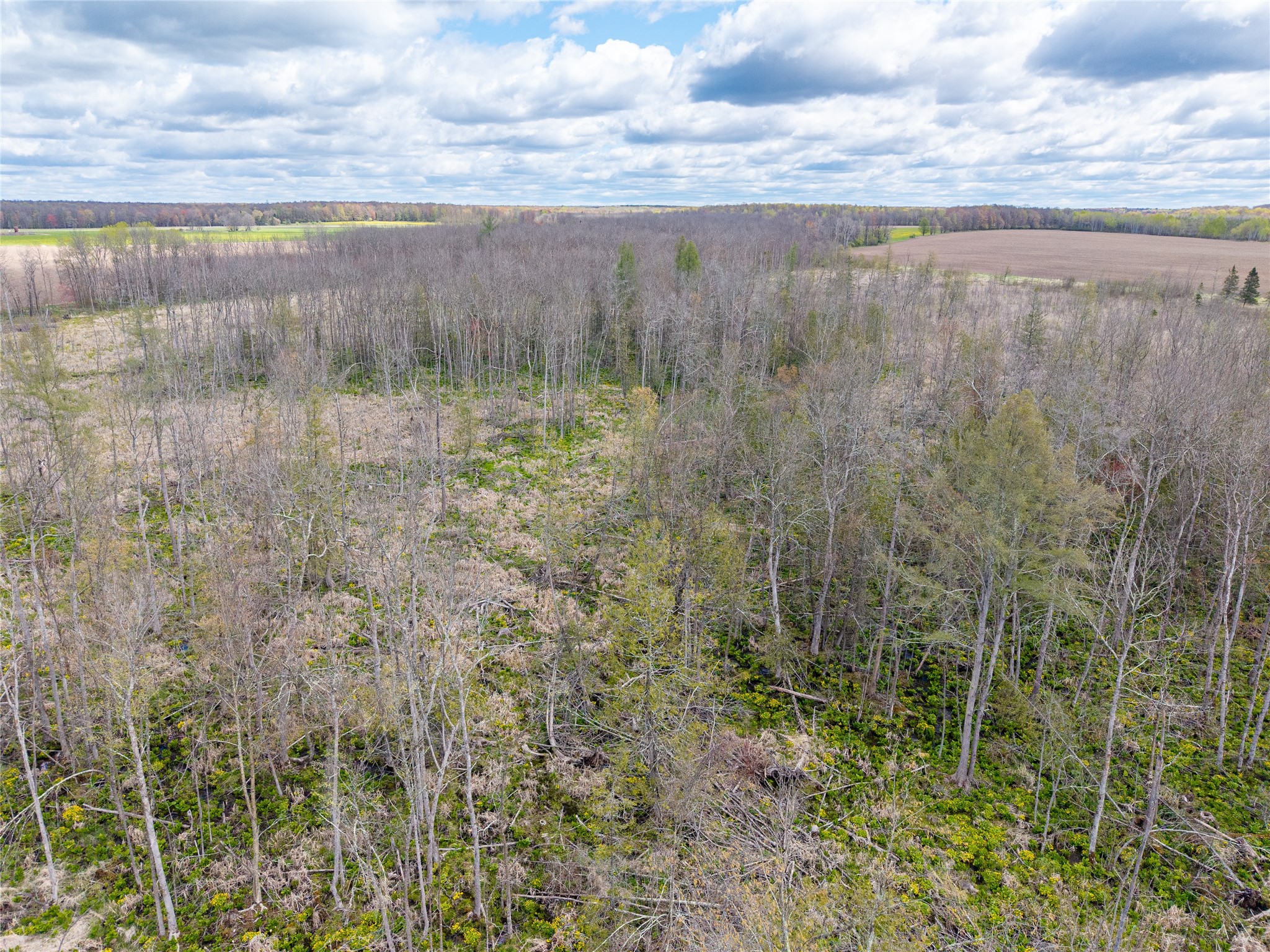 40 Acres Anderson & School Road Glen Flora WI 54526 1601150 image13