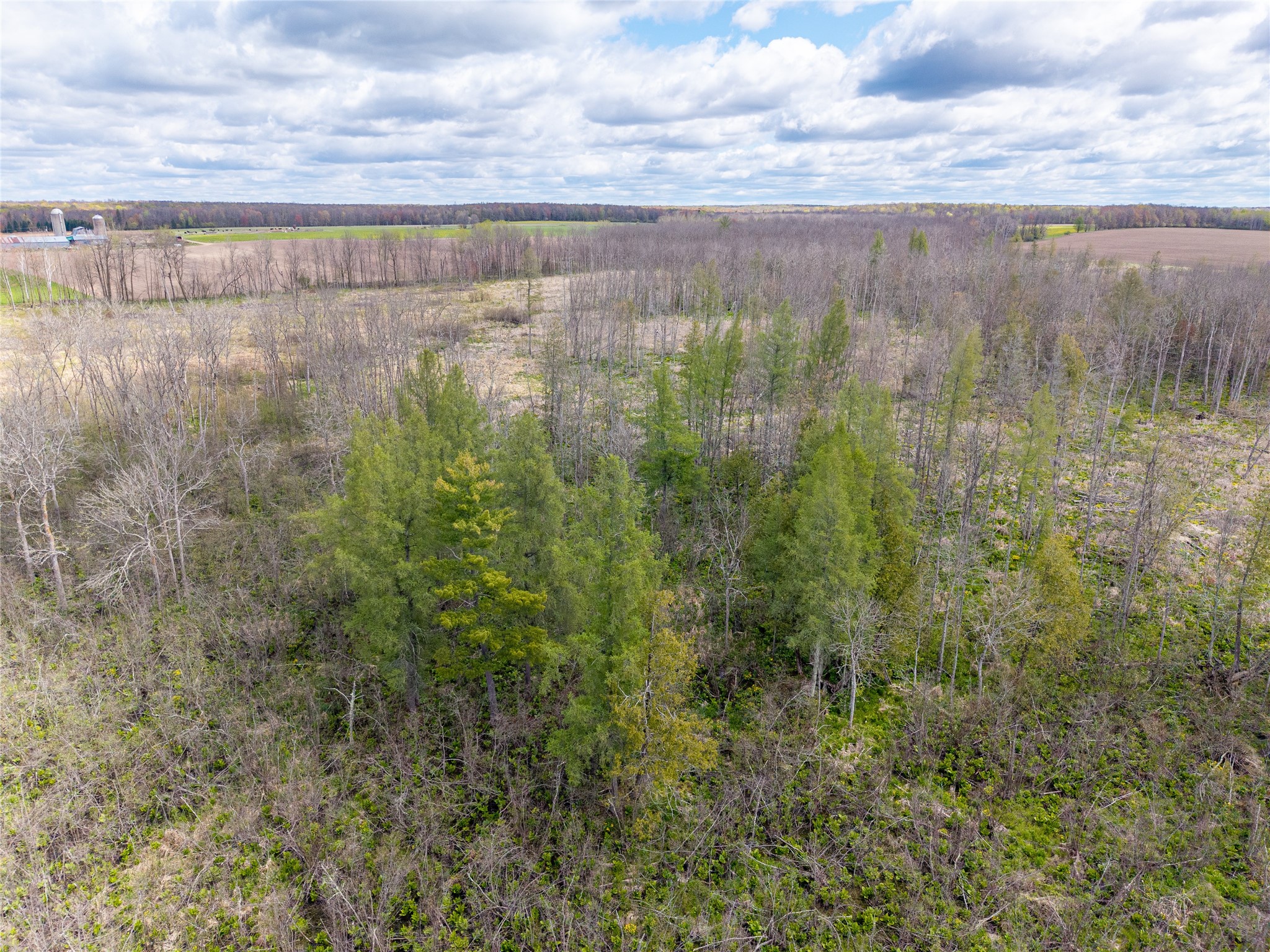 40 Acres Anderson & School Road Glen Flora WI 54526 1601150 image14