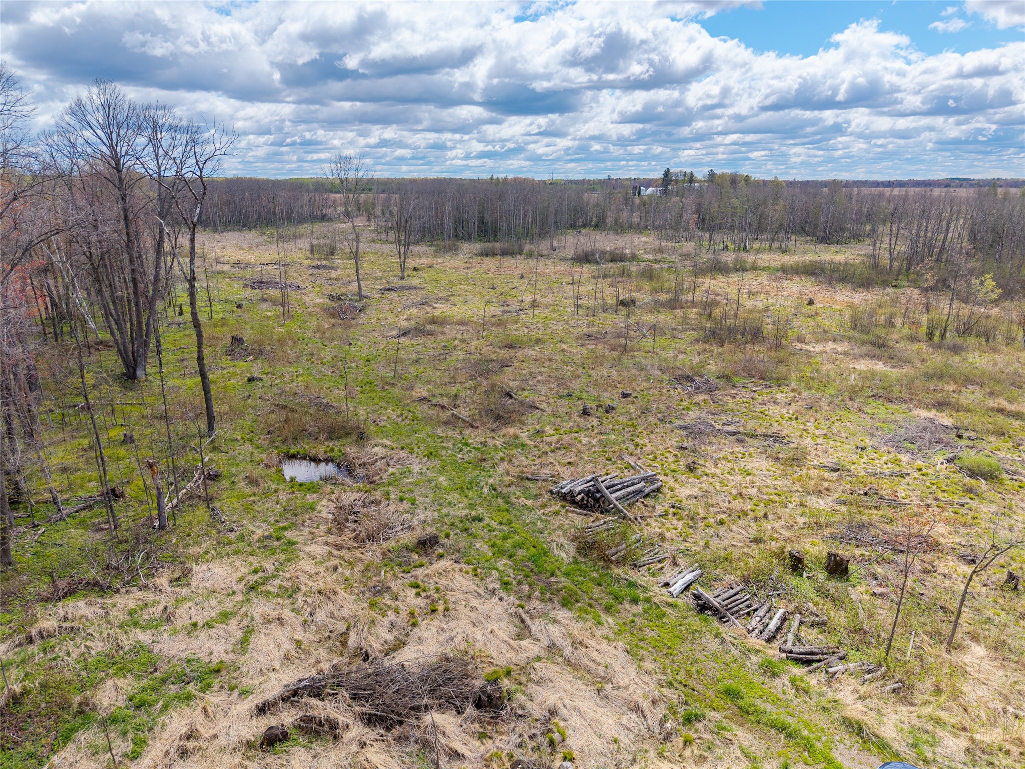 40 Acres Anderson & School Road Glen Flora WI 54526 1601150 image15