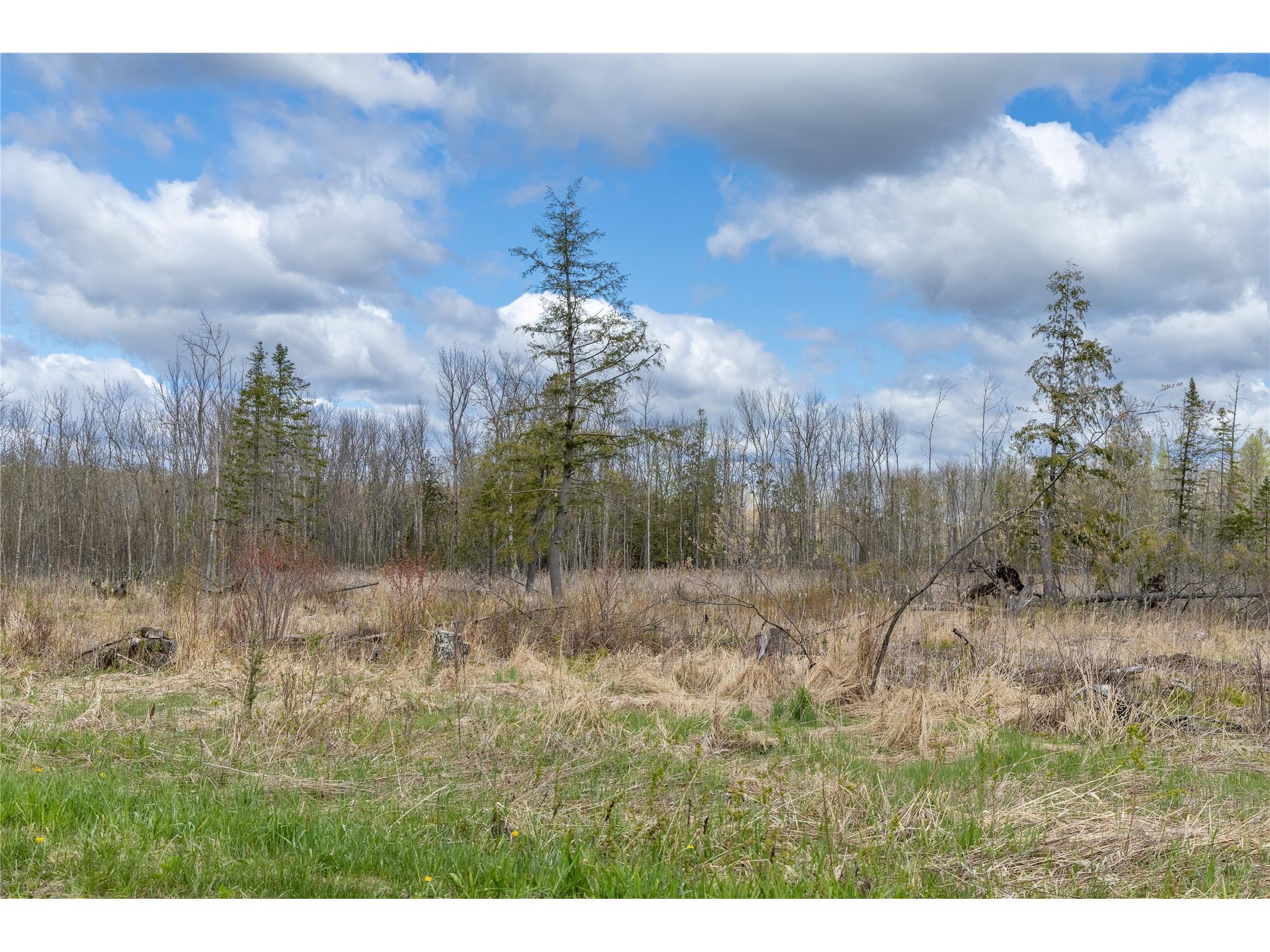 40 Acres Anderson & School Road Glen Flora WI 54526 1601150 image16