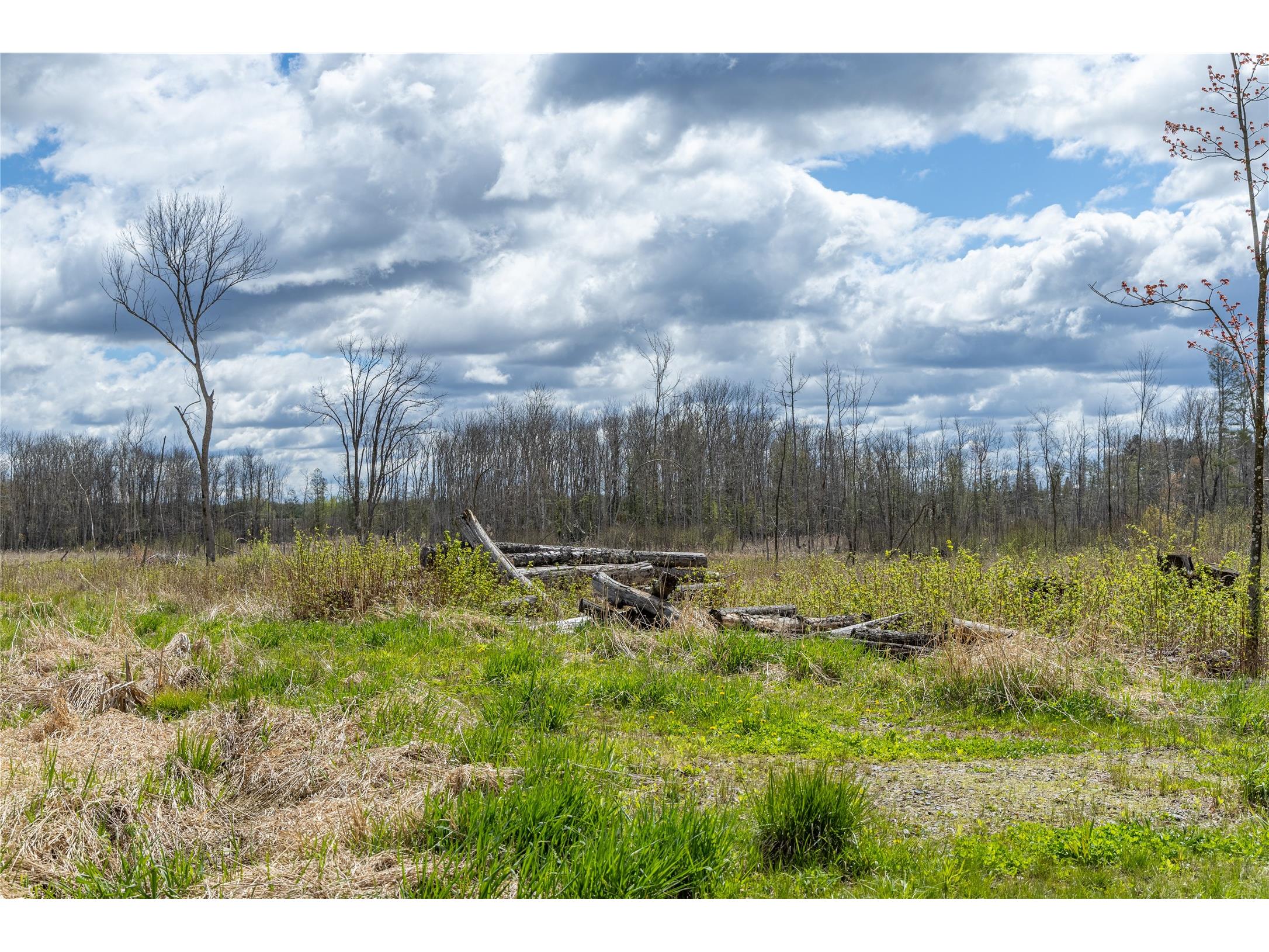 40 Acres Anderson & School Road Glen Flora WI 54526 1601150 image17