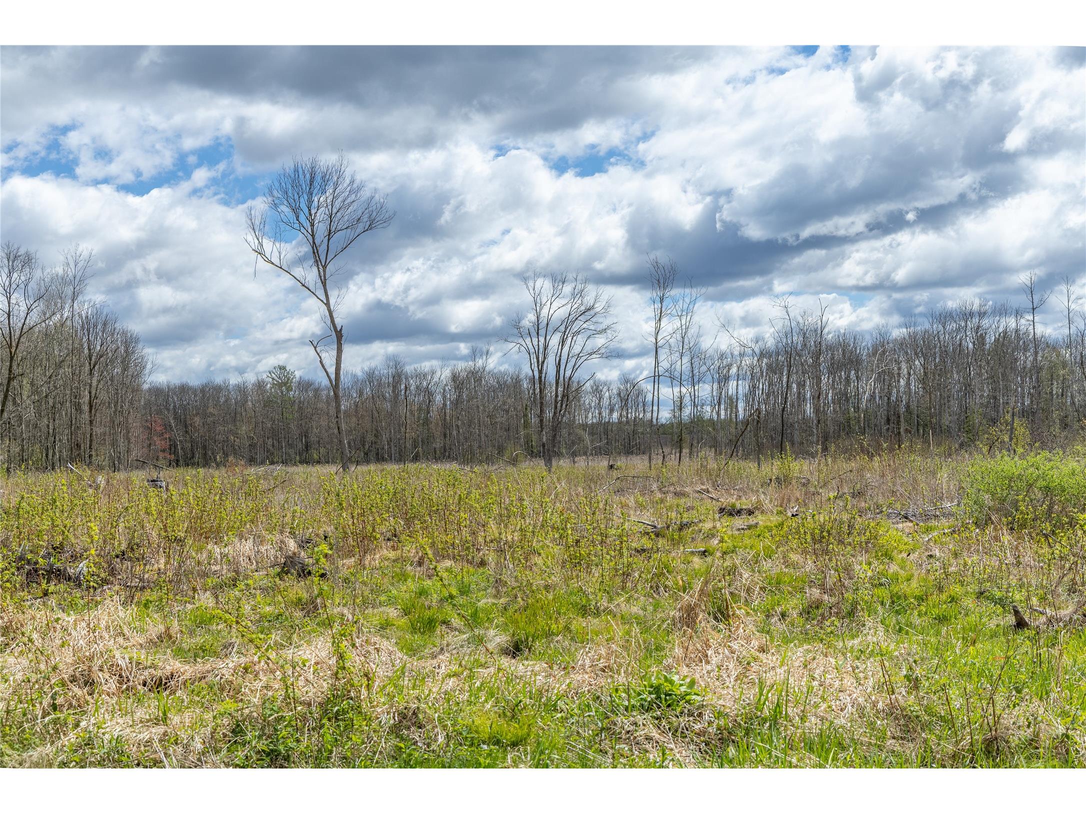 40 Acres Anderson & School Road Glen Flora WI 54526 1601150 image18