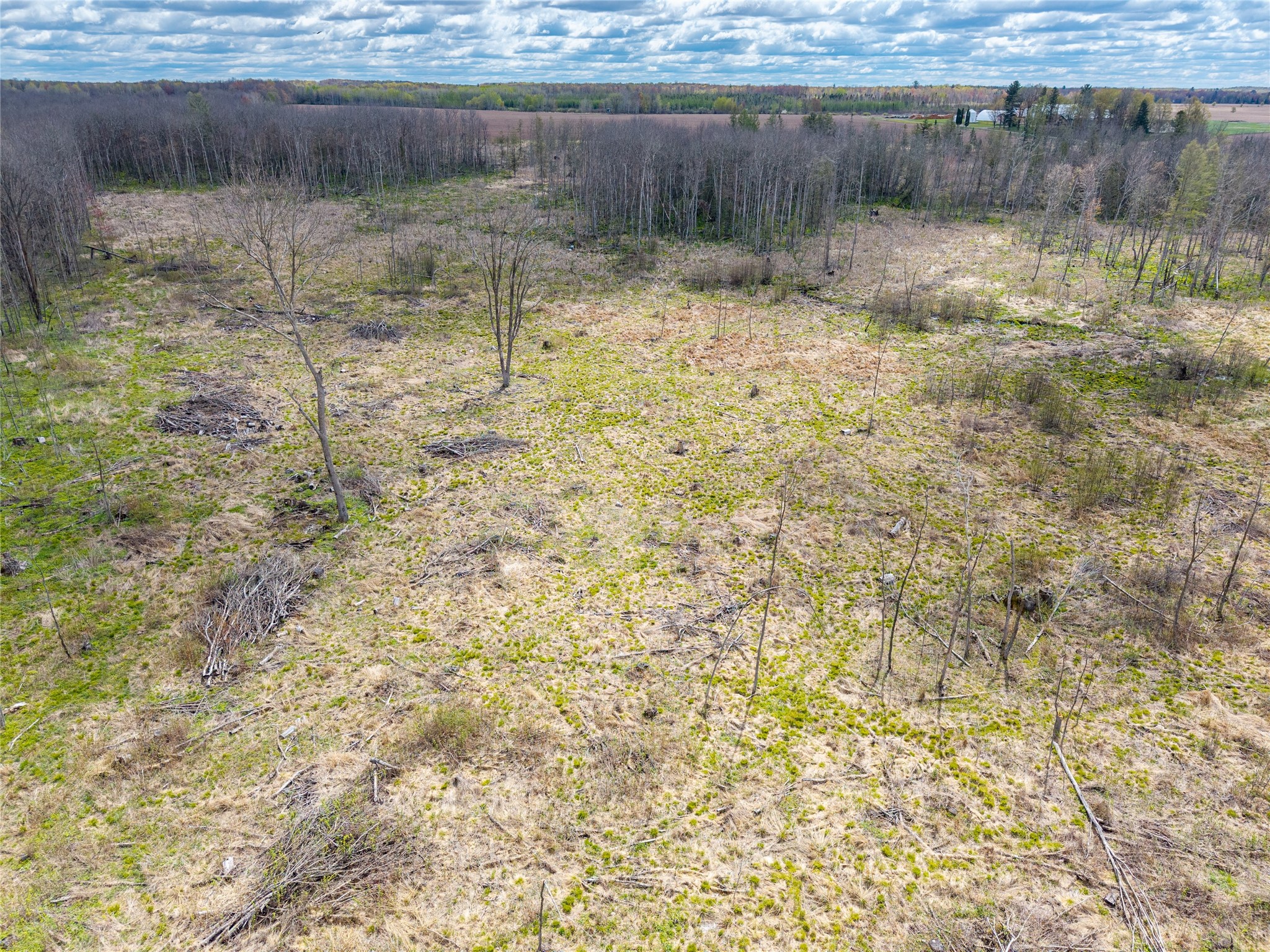 40 Acres Anderson & School Road Glen Flora WI 54526 1601150 image3